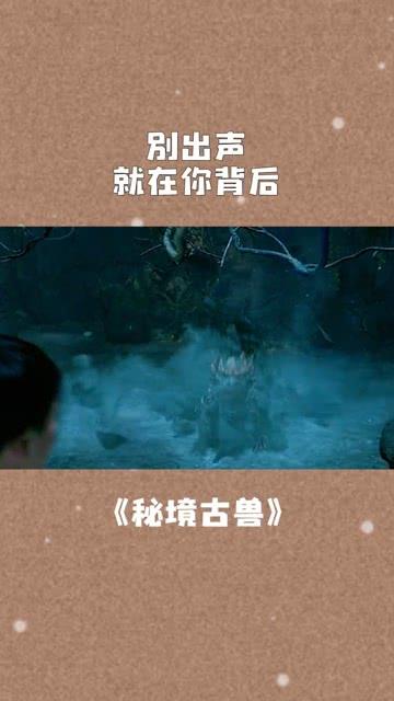 蓝狐视频